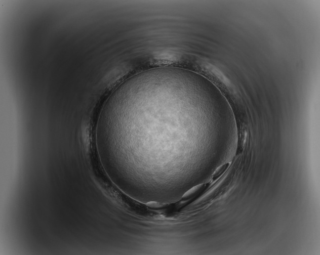 X0000097830455200803201501