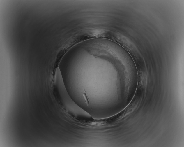 X0000097830461200803201501