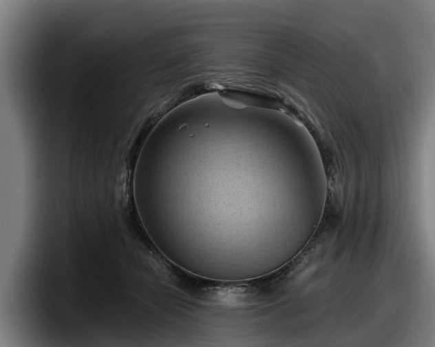 X0000097830462200803201501