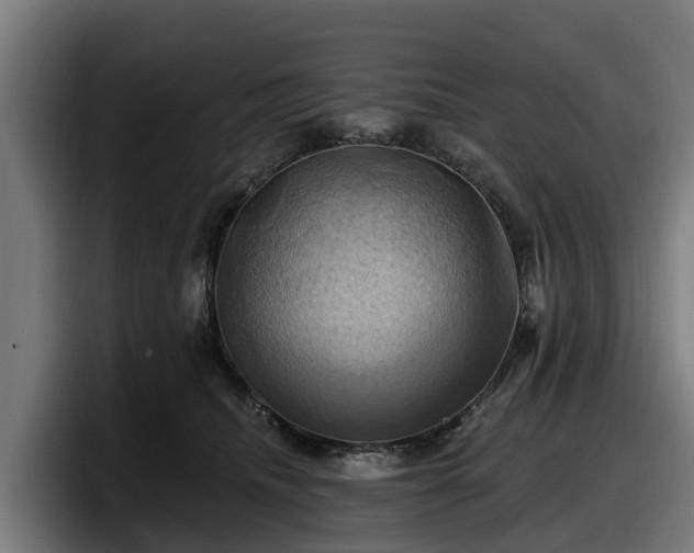 X0000097830468200803201501