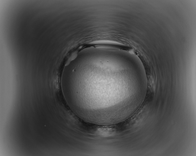 X0000097830470200803201501