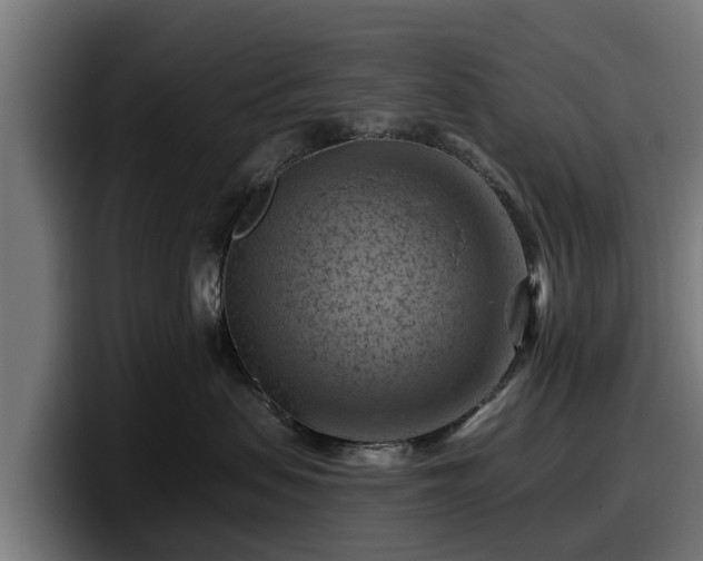 X0000097830479200803201501