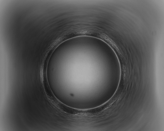 X0000097830482200803201501