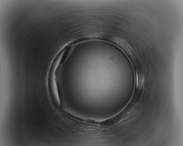 X0000097830483200803201501