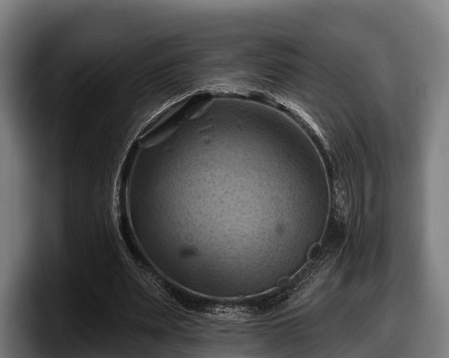 X0000097830487200803201501