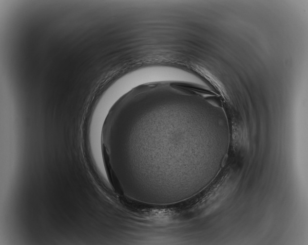 X0000097830493200803201501