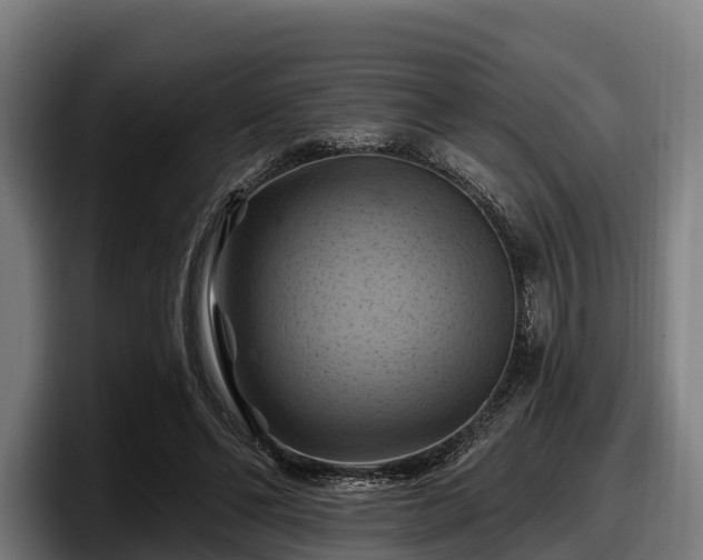 X0000097830494200803201501
