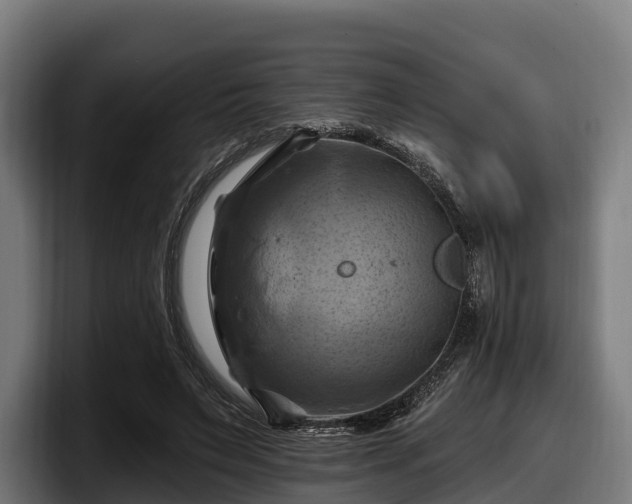 X0000097830495200803201501