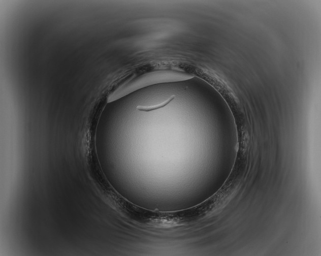 X0000097830498200803201501