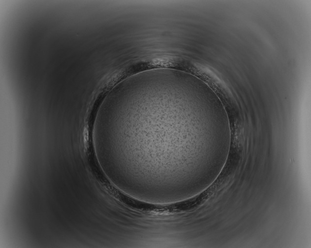 X0000097830502200803201500