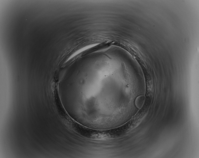 X0000097830503200803201500