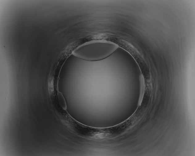 X0000097830504200803201500