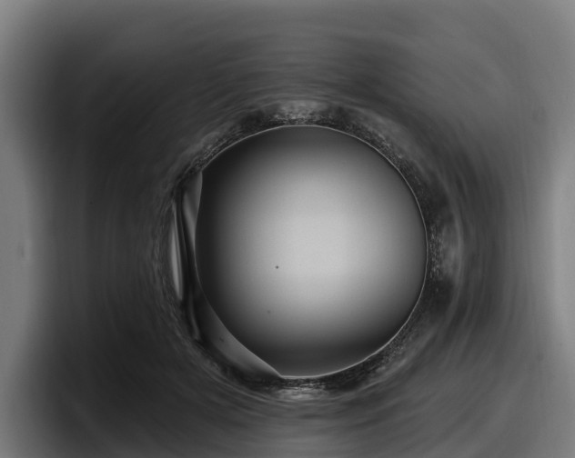 X0000097830505200803201500
