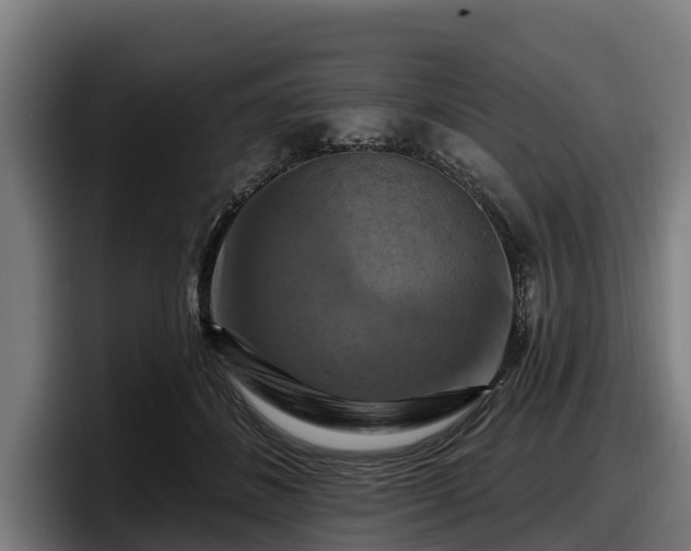 X0000097830508200803201500