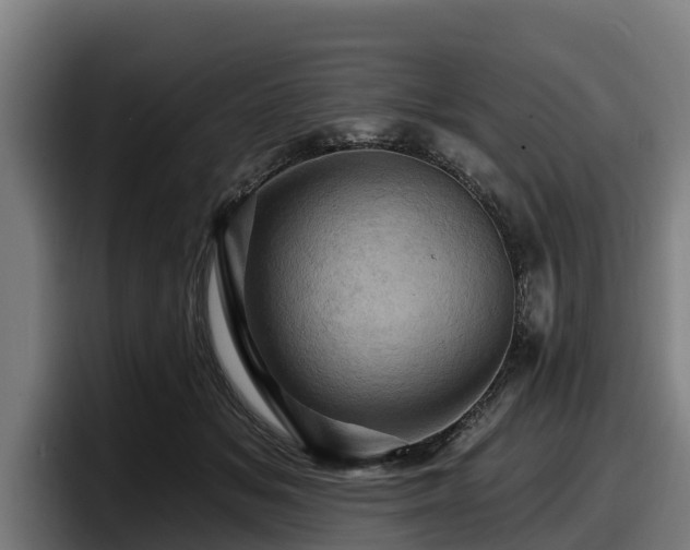 X0000097830509200803201500