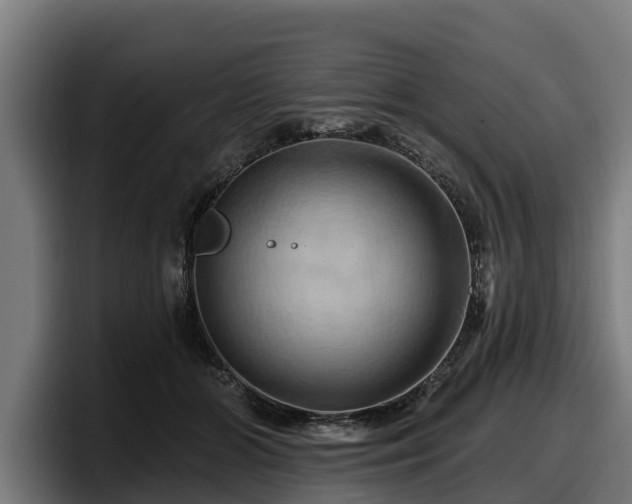 X0000097830510200803201500
