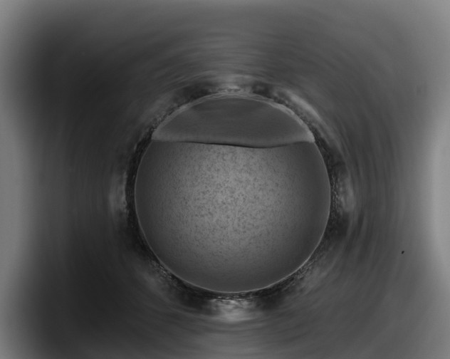 X0000097830512200803201500
