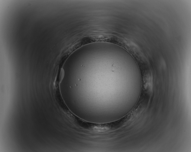 X0000097830515200803201500