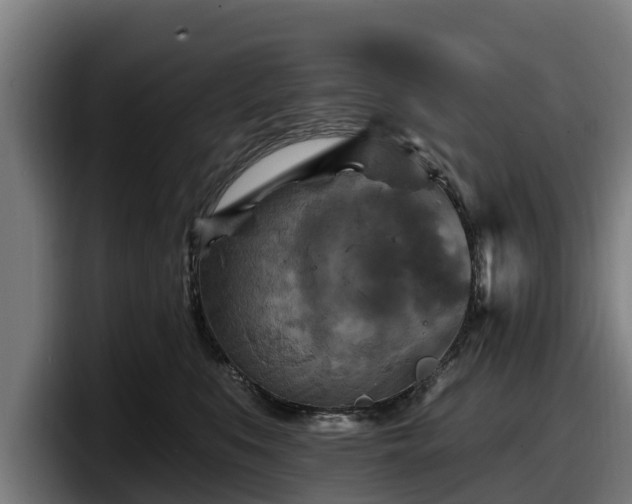 X0000097830519200803201500