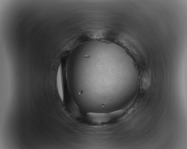 X0000097830521200803201500