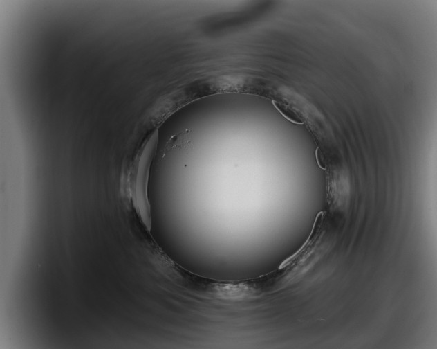 X0000097830525200803201500