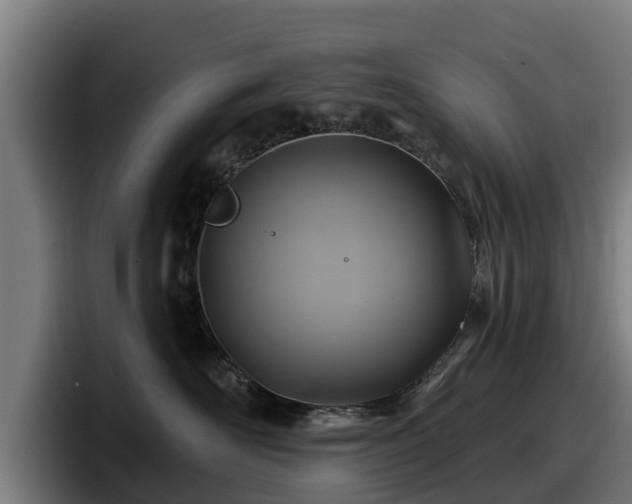 X0000097830526200803201500