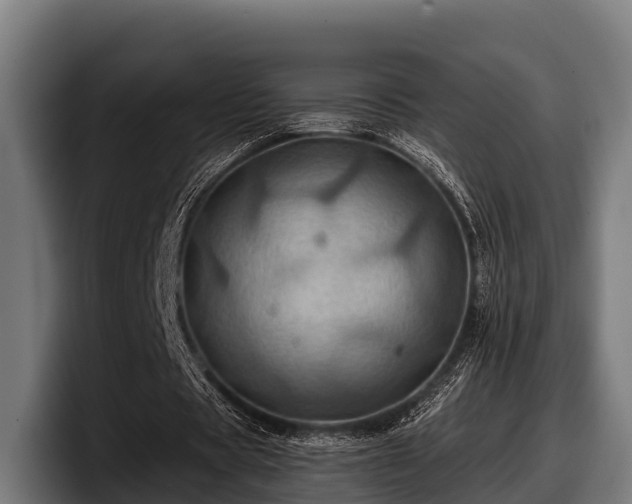 X0000097830529200803201459