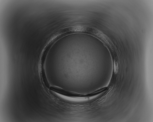 X0000097830531200803201500