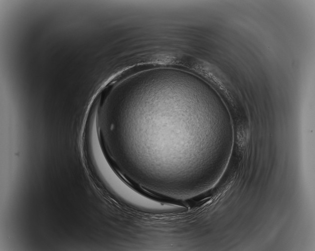 X0000097830532200803201500
