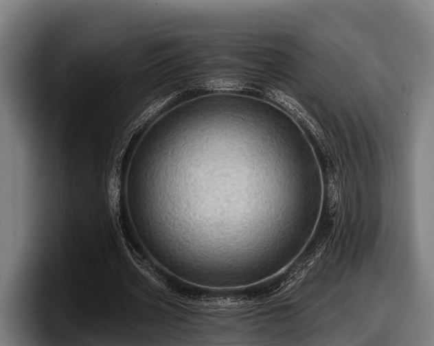 X0000097830533200803201500