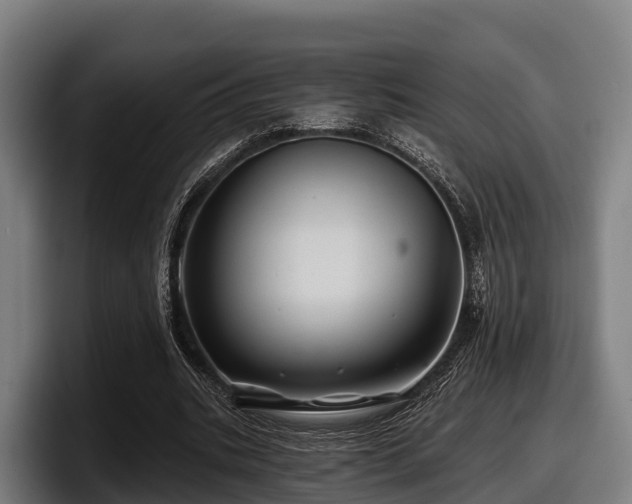 X0000097830535200803201500