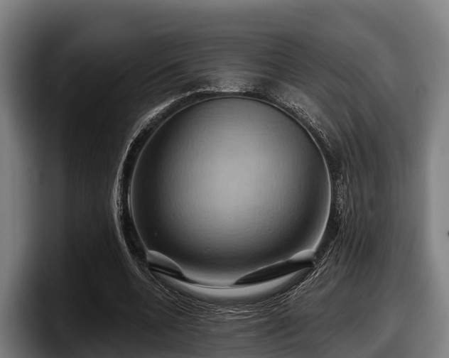 X0000097830536200803201500
