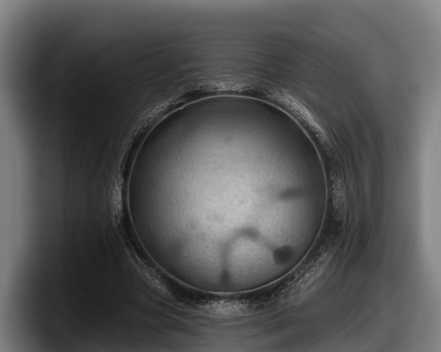 X0000097830537200803201500