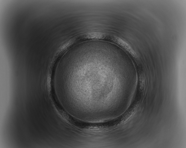 X0000097830538200803201500