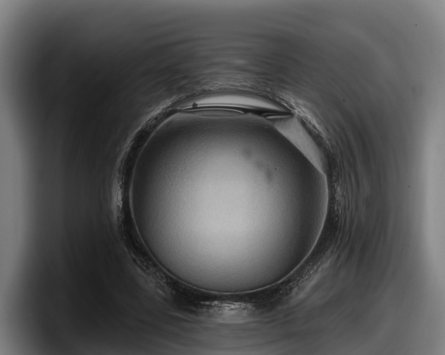 X0000097830539200803201500