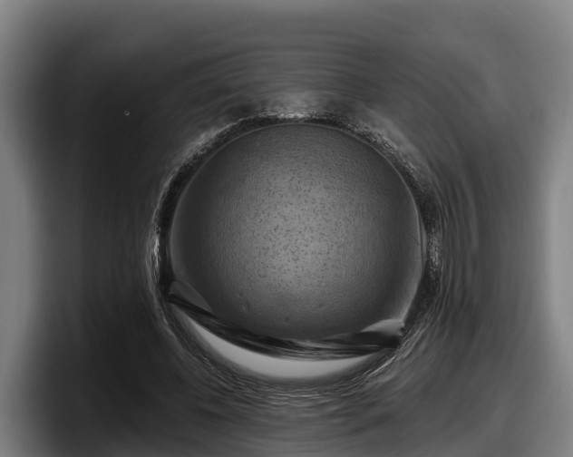 X0000097830540200803201500