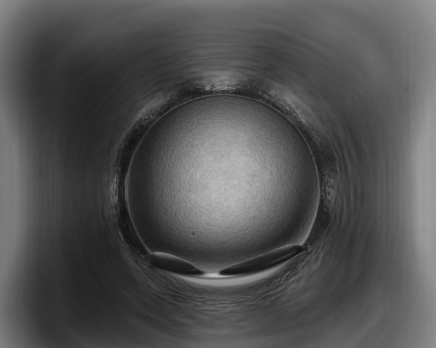 X0000097830543200803201500
