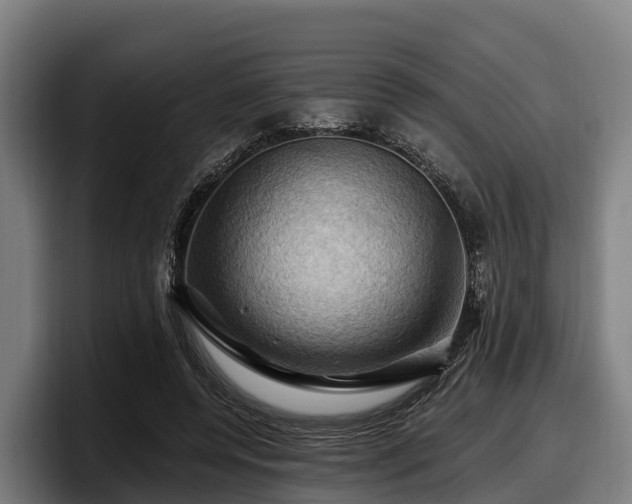 X0000097830544200803201500