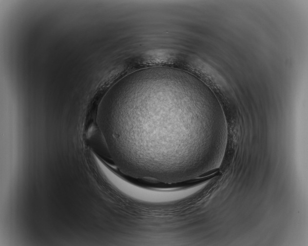 X0000097830546200803201500