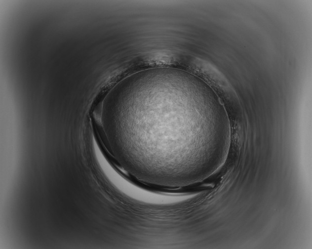 X0000097830548200803201500