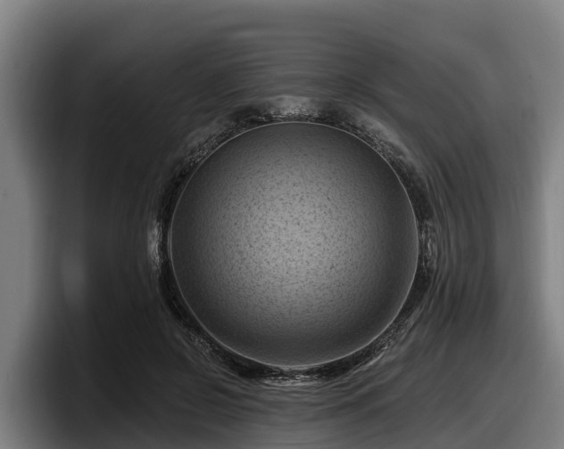 X0000097830550200803201500