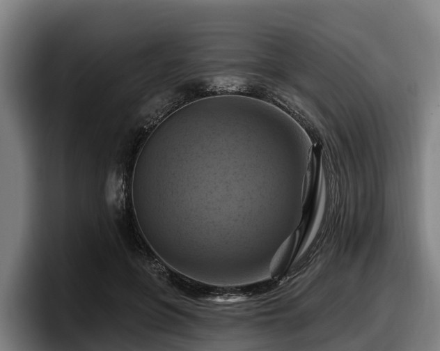 X0000097830551200803201500