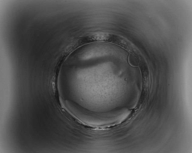 X0000097830553200803201500