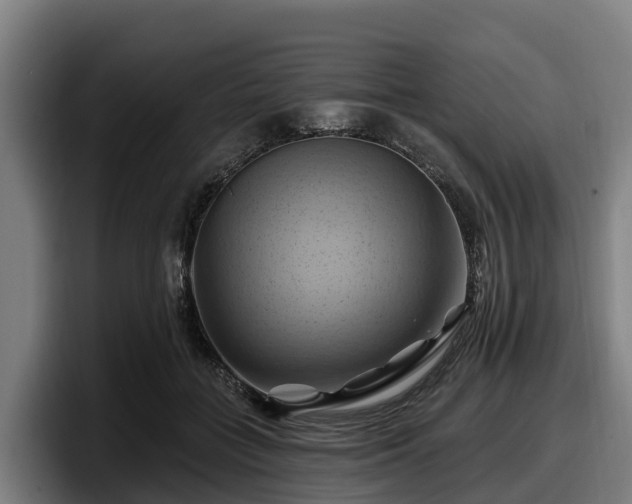 X0000097830555200803201500