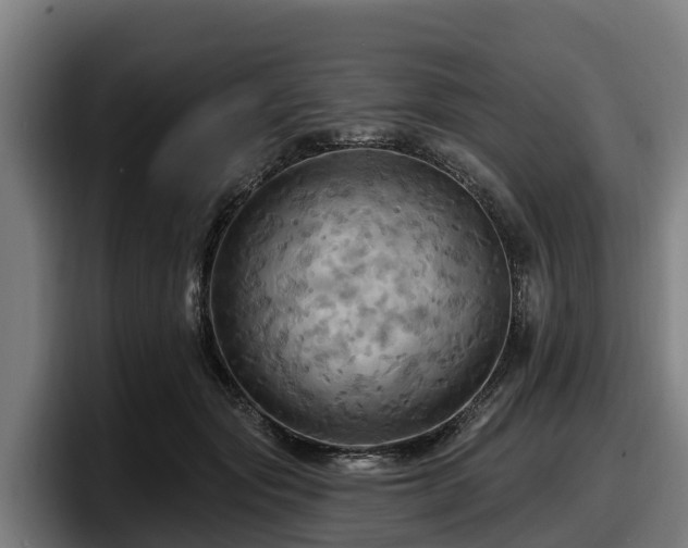 X0000097830557200803201500