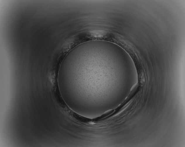 X0000097830559200803201500