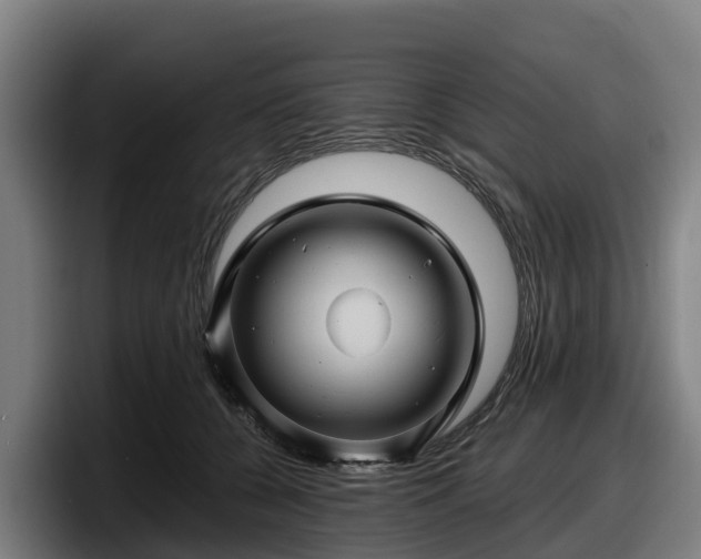 X0000097830560200803201500