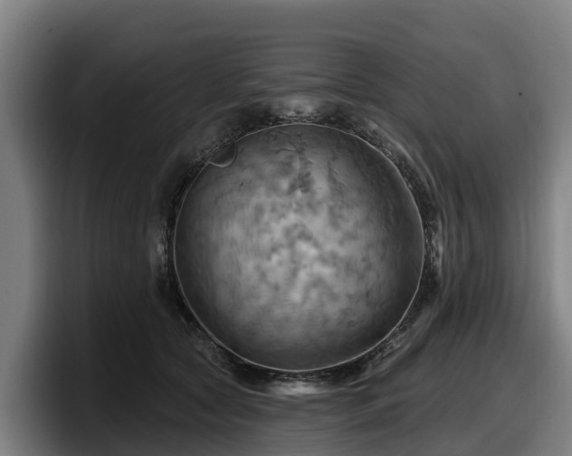X0000097830561200803201500