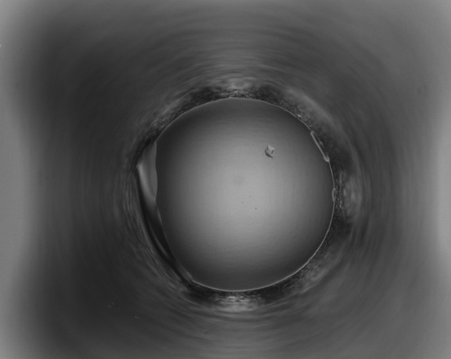 X0000097830562200803201500