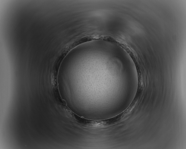 X0000097830569200803201500